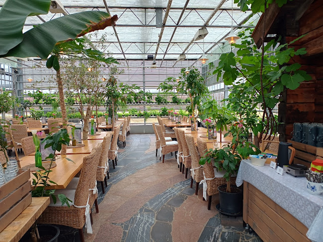 Kasvihuoneravintola Linds - Ravintola-ala