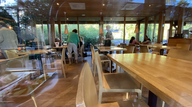 Comentarii opinii despre Ravintola Paseo Cafe, Grill & Sauna