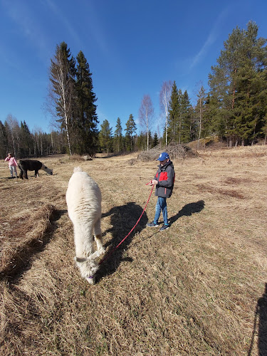 Manunahteentie 92, 39150 Nokia