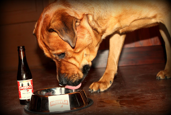 Bastion Bistro - Ravintola-ala