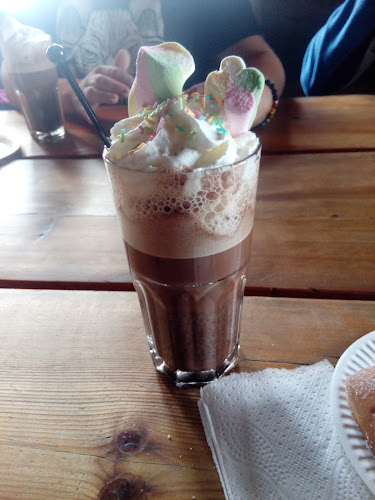 Comentarii opinii despre Ylläskammi 718