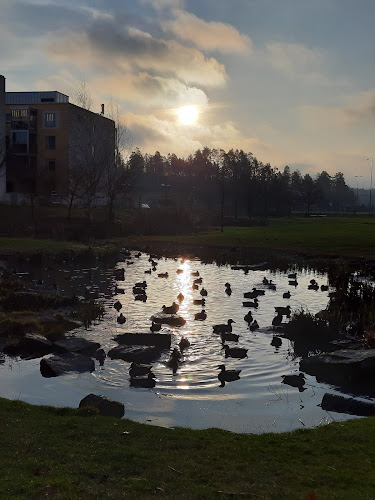 Amica-ravintola Hoiva Viikki Phone number