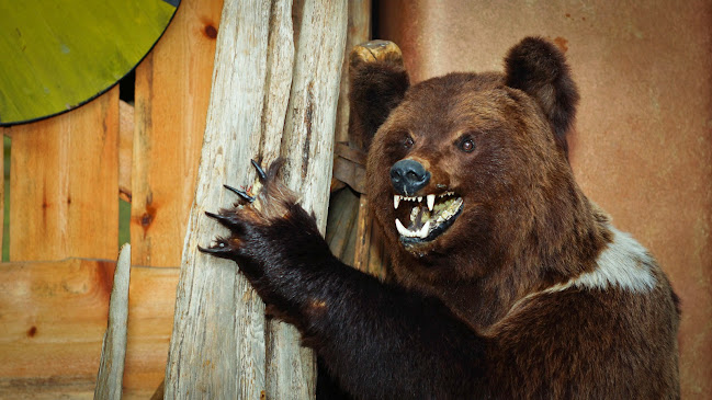 Viikinkiravintola Harald - Ravintola-ala