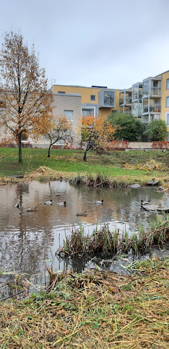 Amica-ravintola Hoiva Viikki - Ravintola-ala