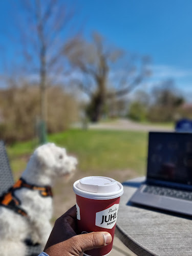 Kupittaanpuisto, 20520 Turku