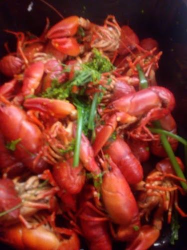 Opinii despre Karelian Gourmet Oy în Imatra - Ravintola-ala