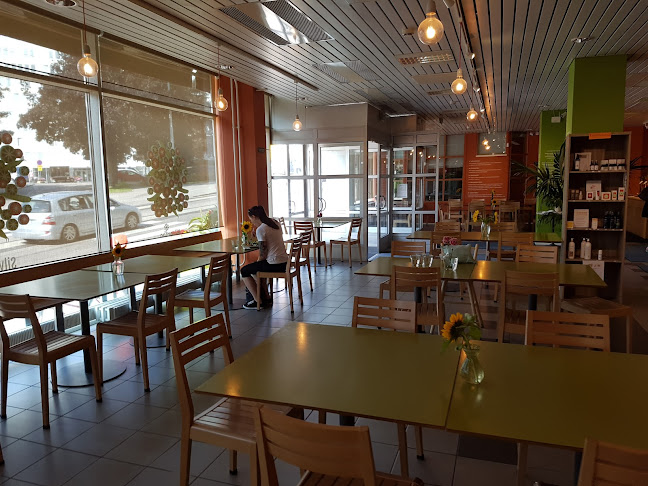 Silvoplee Open Times