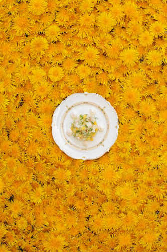 Kuopiontie 68, 50350 Norola