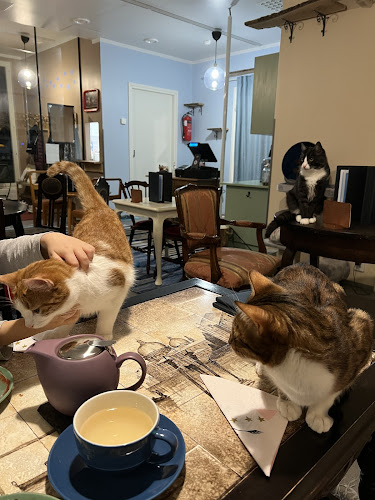 Opinii despre Kahvila Kissantassu în Järvenpää - Ravintola-ala