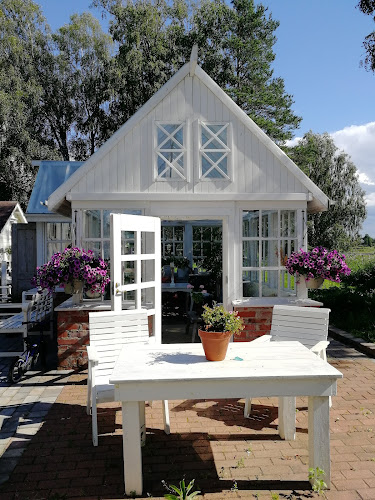 Comentarii opinii despre Wanha Aapiskukko