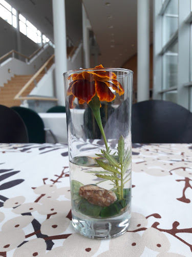 Comments and reviews of Kahvila Juttua