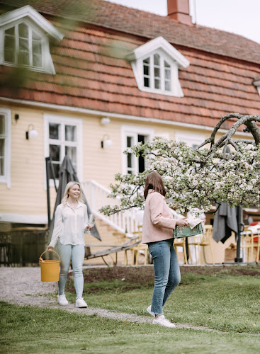 Comentarii opinii despre Tammiston Kuulas