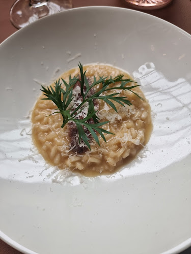 Comentarii opinii despre Fiasco?