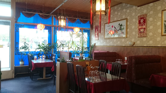 Comentarii opinii despre Kun Ming