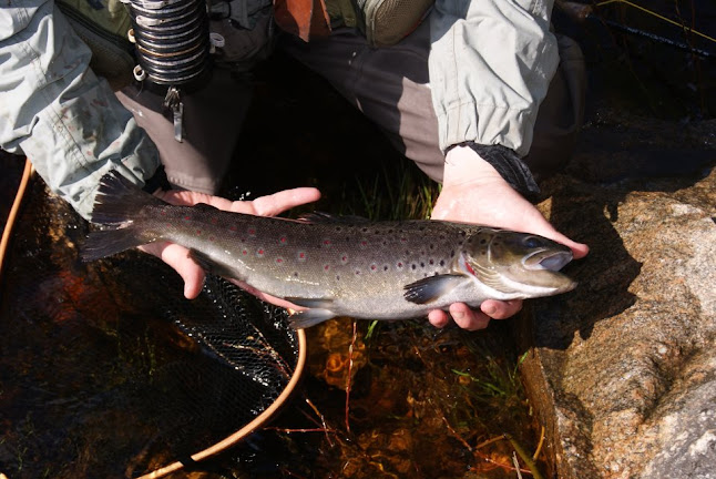 Jyrkäntie 1881, 74380 Jyrkkä