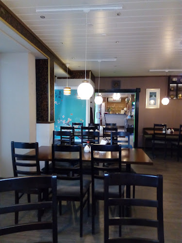 Comentarii opinii despre Ocean Dragon