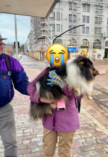 Reviews of Kauppatori in Helsinki - Ravintola-ala