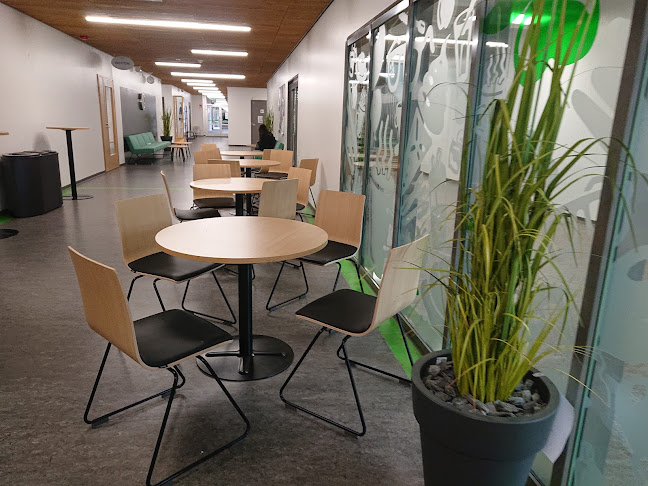 Opinii despre Ravintola Woitto WinNova în Pori - Ravintola-ala