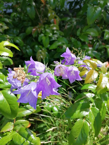 Onnenkukko - Ravintola-ala