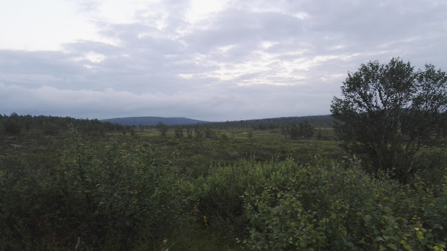 Pub Simon Open Times