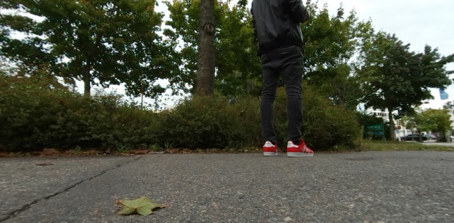 Ravintola Mount Nepal - Ravintola-ala