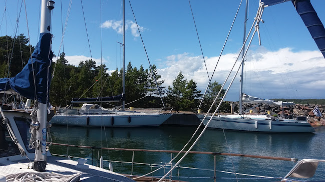 Olavi Mattsson Open Times