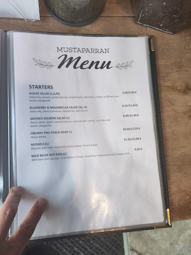 Hallituskatu 6, 95400 Tornio