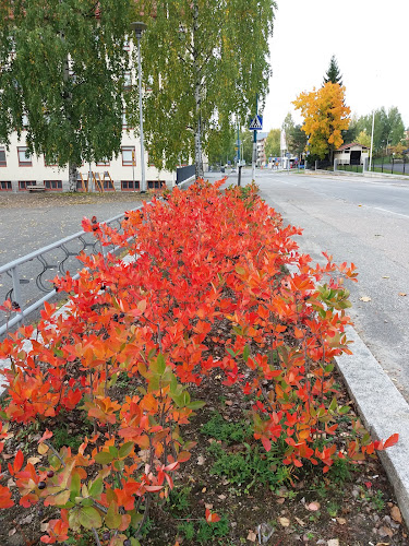 Hesburger Sissikatu - Ravintola-ala
