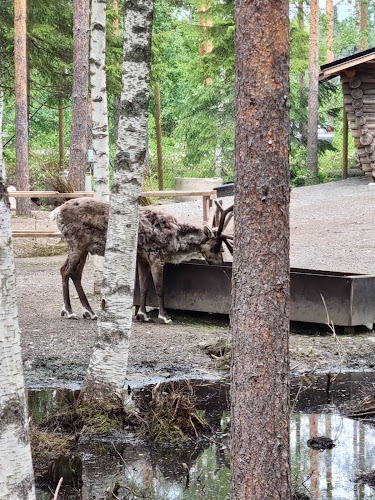 Kaakkolampi Cafe - Ravintola-ala