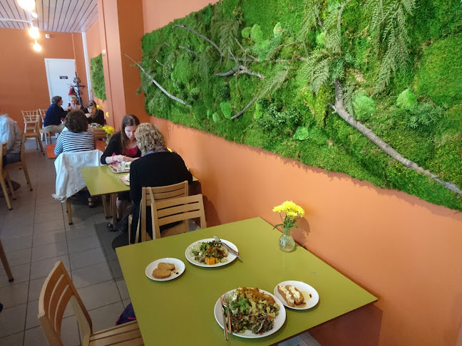 Silvoplee Open Times