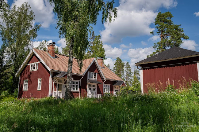 Comentarii opinii despre Pulsan Asema