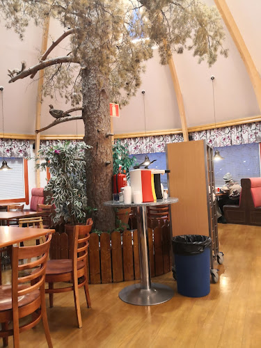Opinii despre Kahvila-Ravintola Haukanpesä în Saukkola - Ravintola-ala