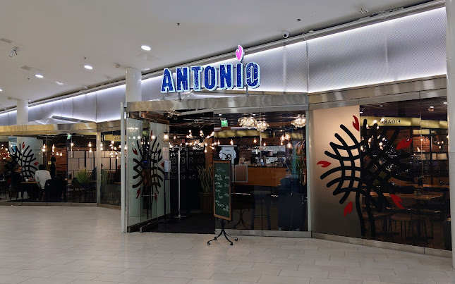 Antonio Salo