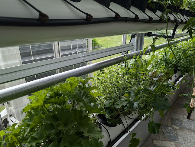 Comentarii opinii despre Kasvihuoneravintola Linds