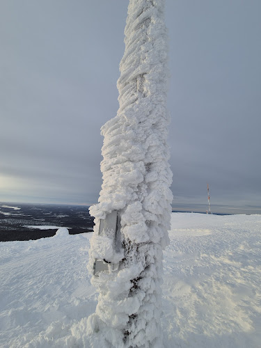 Yllästunturin huippu, 95980 Ylläs