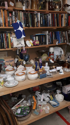 Comentarii opinii despre Kellarikirppis