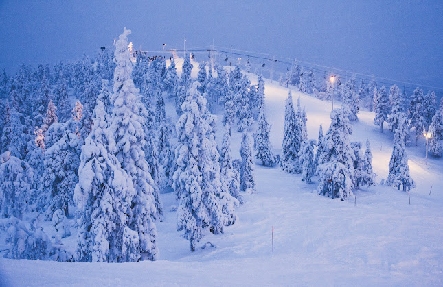 Opinii despre Ski Bistro în Kuusamo - Ravintola-ala