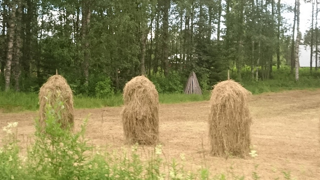 Comentarii opinii despre Karansalmi