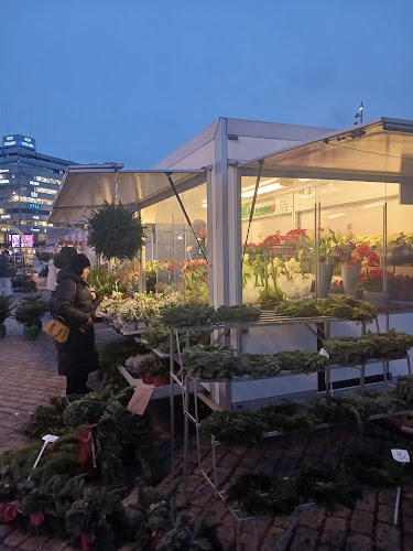 Opinii despre Kauppatori în Turku - Ravintola-ala