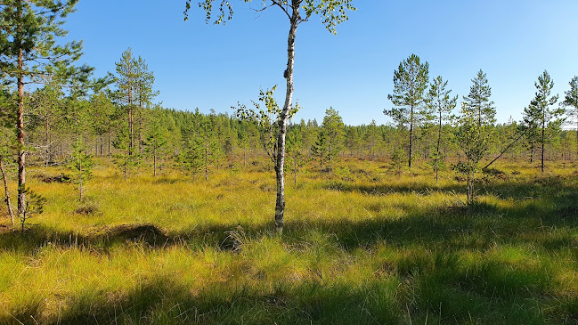 Fredrika Cafe - Ravintola-ala
