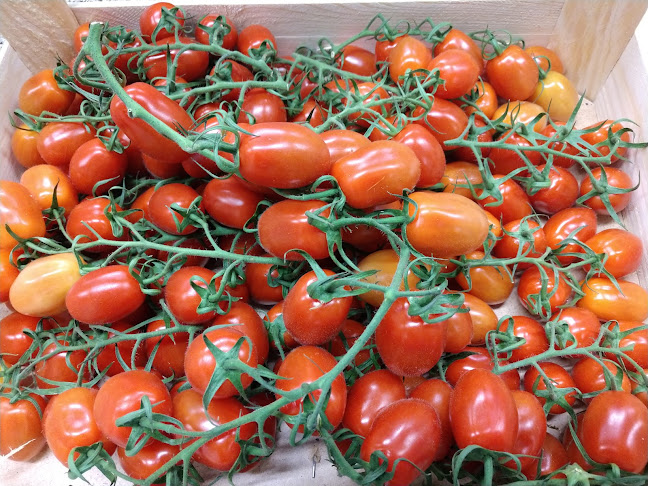 Koulukatu 23, 53100 Lappeenranta