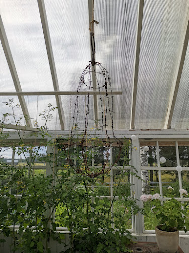 Wanha Aapiskukko - Tynkä