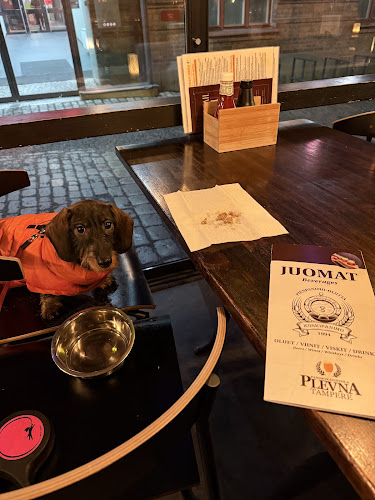 Panimoravintola Plevna - Ravintola-ala