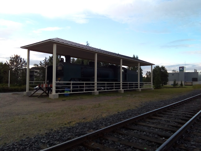 Comentarii opinii despre Bar Moose