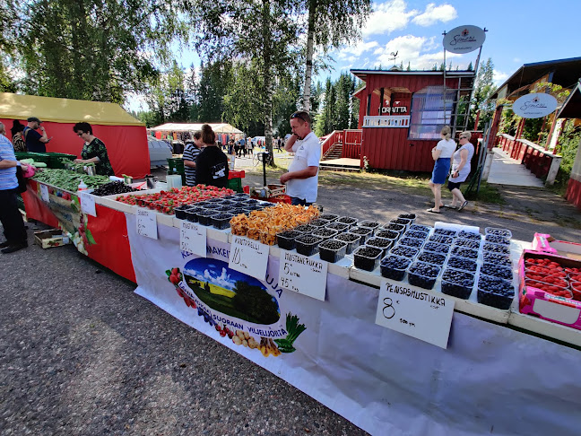 Helsingintie 1515, 31470 Somerniemi