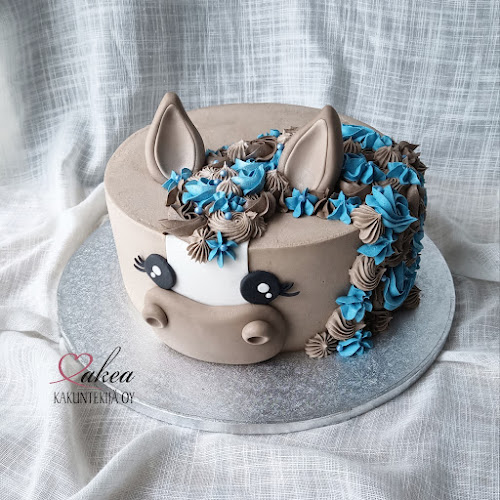 Comentarii opinii despre Makea kakuntekijä Oy