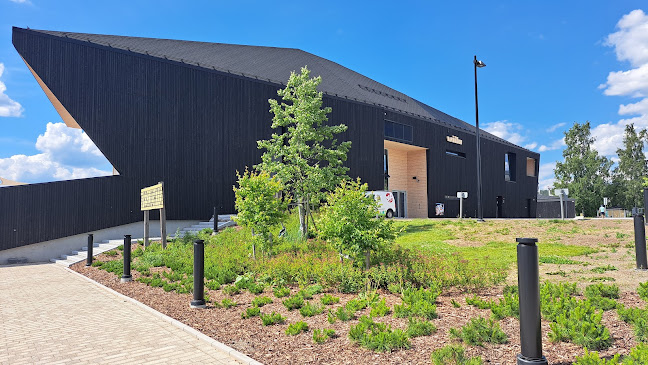 Comentarii opinii despre Sataman Viilu