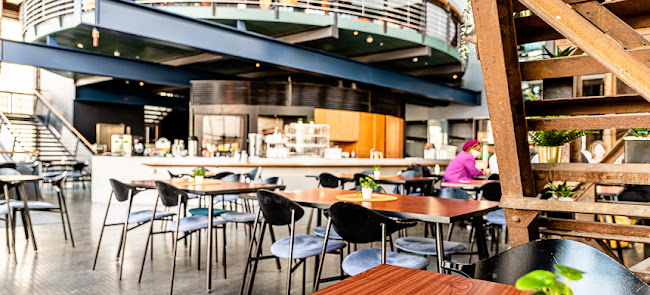 Comentarii opinii despre Unica Sigyn