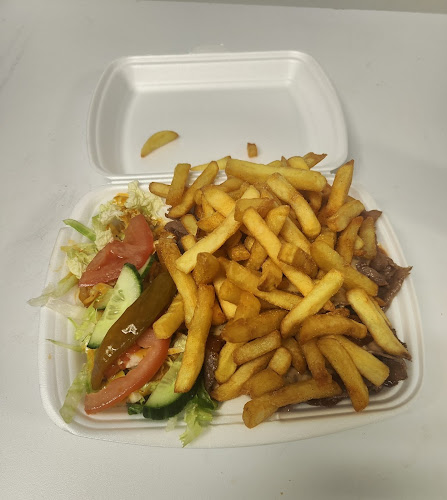 Comentarii opinii despre Metsägrilli