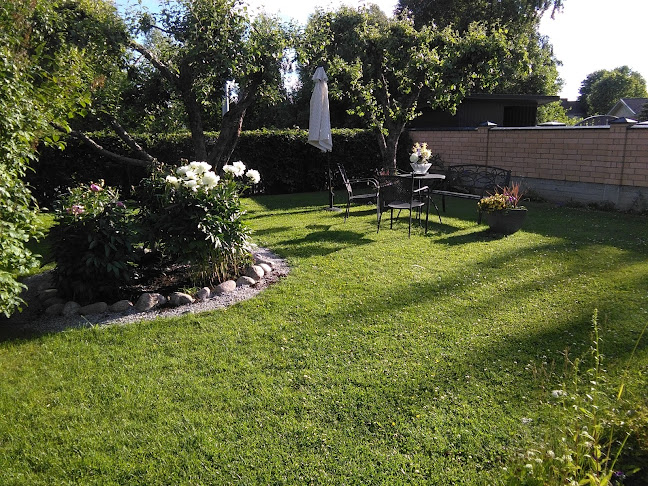 Comentarii opinii despre Salon Torikaffe Oy